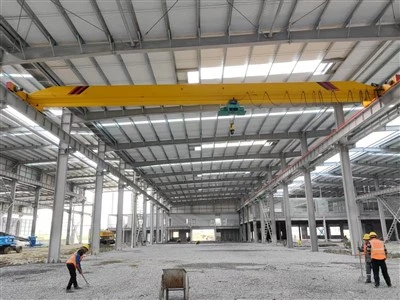 LDY Metallurgical Single Girder Bridge Crane